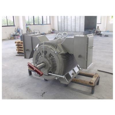 China Medium Size Totally Enclosed Voltage 6KV 10KV Squirrel Cage Permanent Magnet Electric Motor for sale