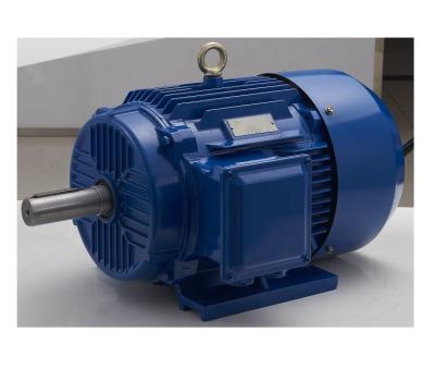 China ANP Gost Stadnard Totally Enclosed Three Phase Cast Iron Induction Electric AC Motor for sale