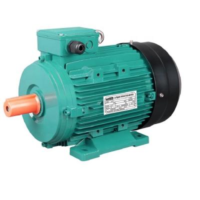 China Totally Enclosed IE4 Aluminum Three Phase Induction Electric AC Motor for sale