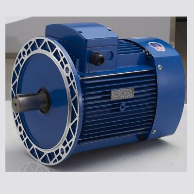 China Fast Delivery IE1 Totally Enclosed Aluminum Three Phase Induction Electric Motor Manufacturer AC Motor for sale