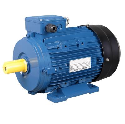 China Totally Enclosed Aluminum Three Phase IE1 Induction Electric AC Motor for sale