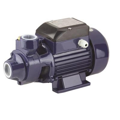 China Economic small water pump STRATEGY series low price vortex water pump for sale