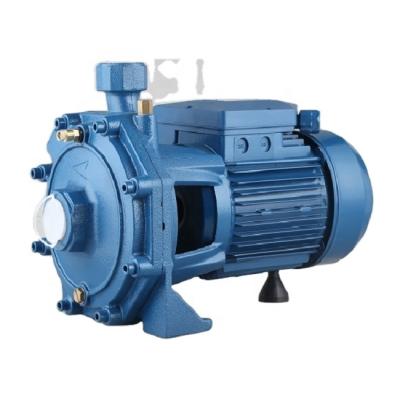 China 0.75HP-3HP 2SCM Economical Centrifugal Water Pump for sale