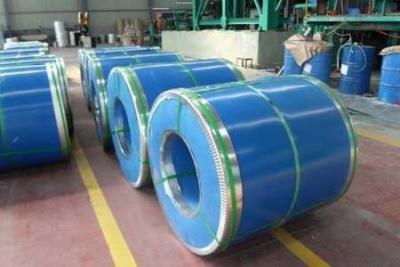 China Prime Grade  Prepainted galvanised color coated steel coil RAL color or custom for sale