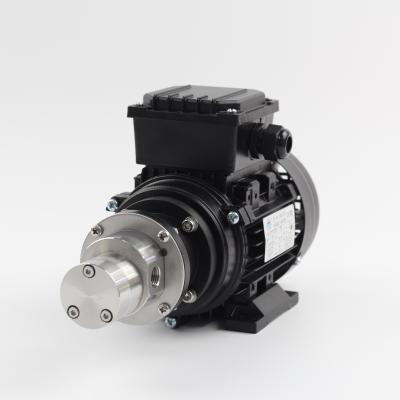 China Automotive industry gear type magnetic pump high pressure water pump for car washing MG317XK/AC220 for sale