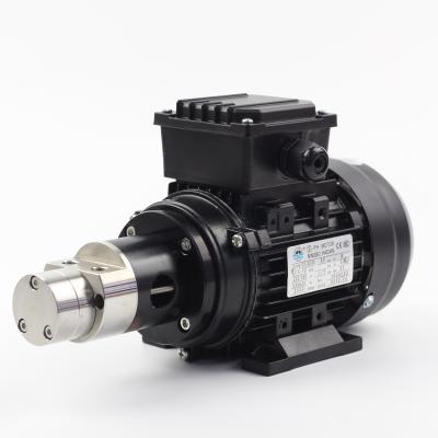 China Automotive Industry Design Heavy Duty AC Gear Pump Motor Unit for sale