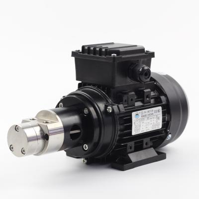 China Automotive Industry Max Flow 4.5L/min High Torque Direct Drive Small Size Gear Pump for sale