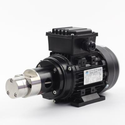 China Automotive Industry 5000 Hours Gear Pump Circulations Pulse Life With AC Motor for sale