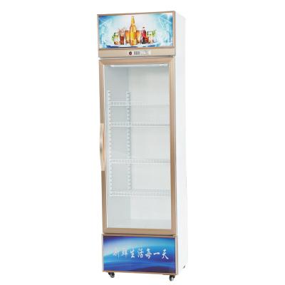 China Single-temperature Web celebrity beer cabinet display cabinet transparent glass commercial beverage refrigeration equipment for sale