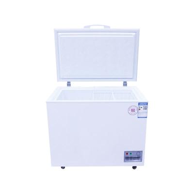 China High Quality Custom Single-temperature Portable Freezer The Grocery Freezer Food Storage for sale