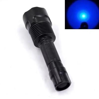 China Multi Light 450nm 530nm 650nm Hunting Torch Red Green Blue Multi Torch Bands Flashlight Flashlight Tactical High Lumens Rechargeable Flashlights for sale