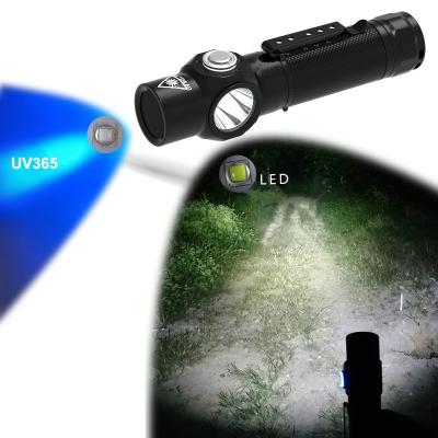 China UV Headlight 365nm High Power Hunting Black Light 365nm UV LED USB Flashlight Rechargeable Flashlights UV Headlamp With 1000lumens White Light for sale