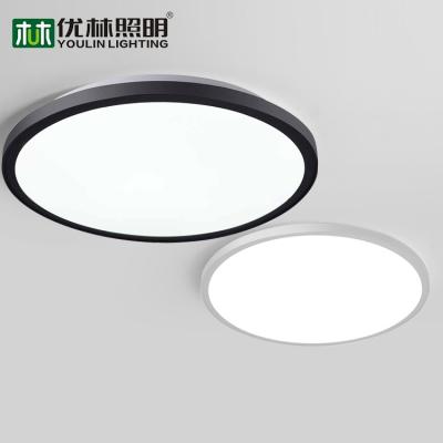 China Current Popular Season Ceiling Lighting Kitchen Surface Mounted Fixtures 24w Led Outdoor Mounted Ceiling Lamp for sale