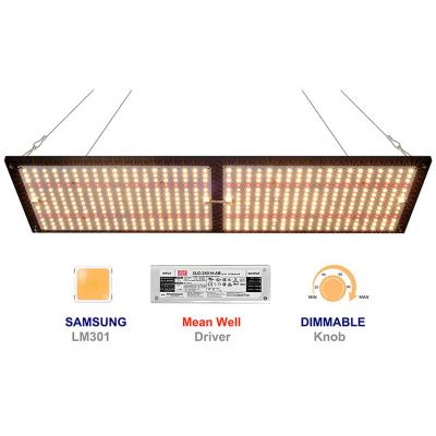 China CrxSunny 2022 XP2500 240W Samsung LM301H Dimming Knob Led Grow Light Full Spectrum Dimmable Led Plant Grow Light For Greenhouse for sale