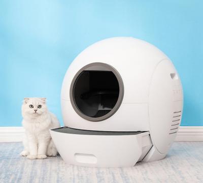 China Cat Litter Boxes Mobile Smart Auto Control Cat Litter Box Cat Clean Self Cleaning App Premium Viable Up Products Plas for sale