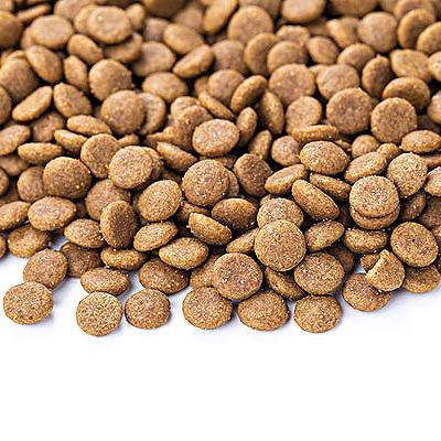 China 100% Natural Hot Selling Dry Pet Food Cat Equilibrio Cat Food Pet Food Supplements for sale