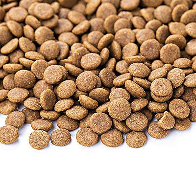 China 100% Natural Hot Sale Product Pet Food Cats Cat Food Oem Pet Food Packaging for sale