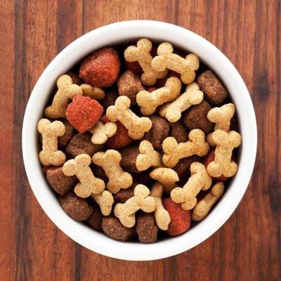 China 100% High Quality Dog and Best Price Pet Food Storage Natural Chow Dog Food Dry for sale