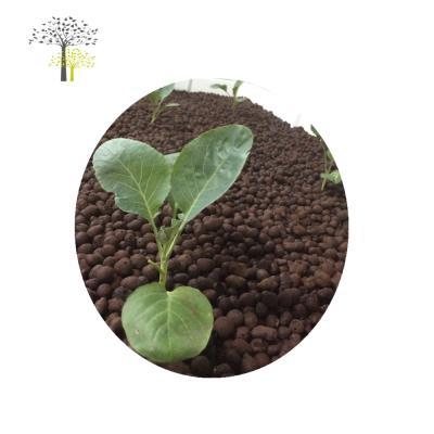 China Hydroponics And Aquaponics Growing Bed Growing Media Clay Expanded Pebble As Decoration For Potted Plants for sale