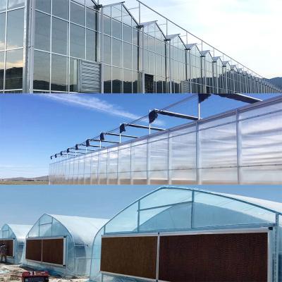 China Single-span Multi-span Fruit Flowers Vegetable Chinese Plastic Hydroponics Polycarbonate Sheet Agricultural Glass Greenhouses for sale