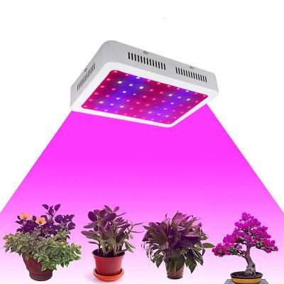 China FLOWER 300w 600w 1000w COB Led For Growing Light for sale