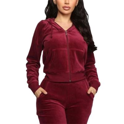 China New Breathable High Quality Long Sleeve Active Jogger Suit Training Sweatsuit Women Fit Hooded Velvet Gym Tracksuit for sale