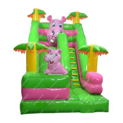 China Outdoor Aumsement Water Slide Bounce House Cheap Commercial Inflatable Water Slides Inflatable Dry Slide for sale