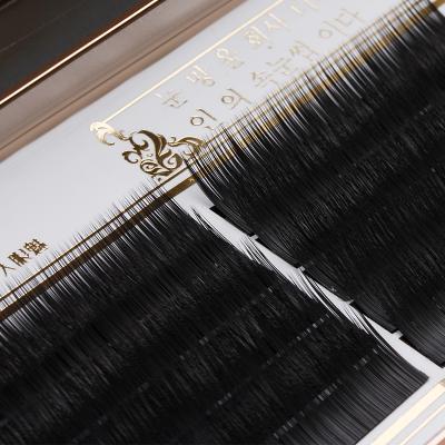 China Flat Mink PBT IRISMOON Eyelash Curl Eyelash Vendor Private Label Synthetic Curly Extension Single Vendors Like Baby Eyelashes for sale