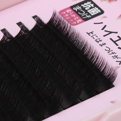 China IRISMOON Natural Blooming Eyelashes Bloom Softest Black 6D Eyelash Extension In One Second Blooming Fans Eyelash Easy for sale