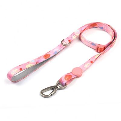 China Padded Rubber Patch Custom Logo Dog Leash Adjustable Dog Leash Pet Leash for sale