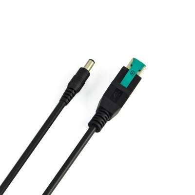 China Custom Printer Exclusive Power 12V Usb To Power DC5.5 Usb Cable For POS Printer for sale