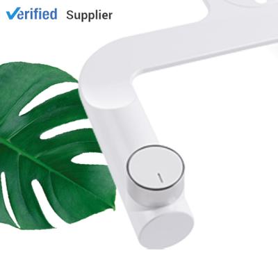 China New Double Spout Self-cleaning Single Slim Bidet Attachment With Self-cleaning Spout for sale