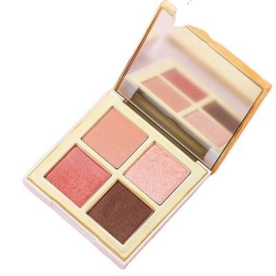 China Economic Luxurious Clear Plastic Simple Empty Eyeshadow Box Eyeshadow Case for sale