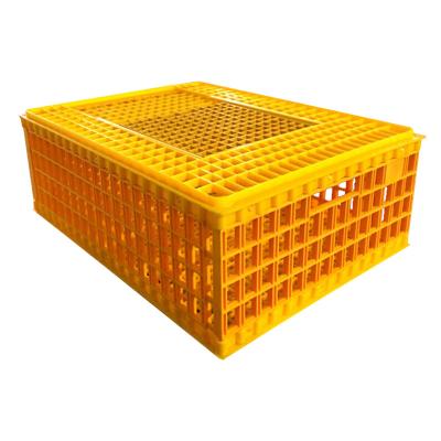 China Farm Broiler Chick Duck Goose Live Chicken Transport Cage Plastic Poultry Transport Crate For Sale for sale