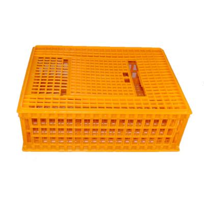 China Farms Poultry Transport Crate Manufacturer Chicken Transport Box for sale