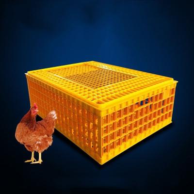 China Farms Best Quality Plastic Poultry Transport Cage Chicken Transport Cage for sale