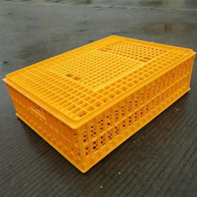 China Farms Best Quality Transport Crate Poultri Transport Crate Plastic Chicken Cage for sale