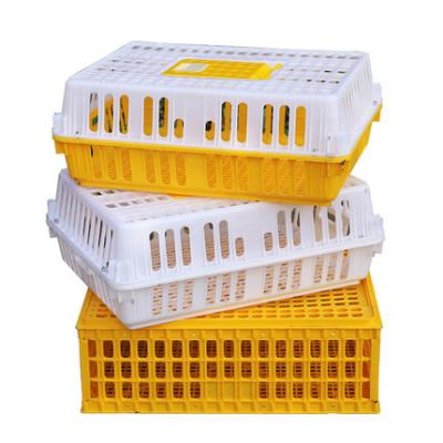 China Best Selling Farms Quality Plastic Transport Cage Poultry Cage Poultry Transport Plastic Crate for sale