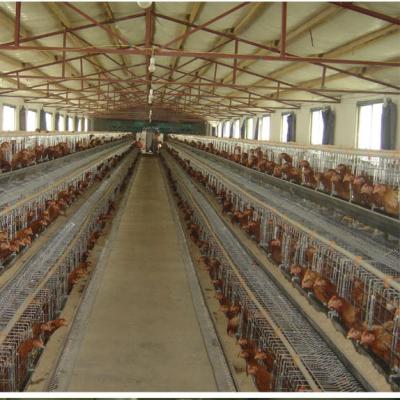 China Factory direct sale chicken cage farms for sale layer chicken cage A battery chicken cage for poultry farm for sale