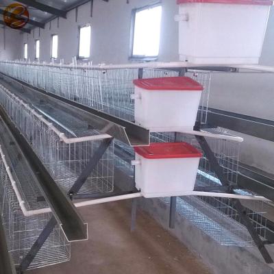 China Farms Poultry Farming Equipment Philippines Galvanized Layer Chicken Cages With Automatic System For Sale for sale