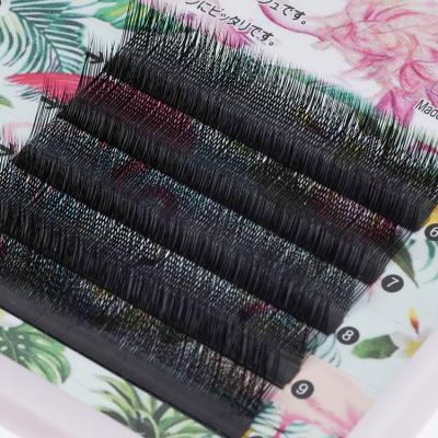 China Delicate New Products 0.07mm C and D 8-18mm YY Lashes Private Label Eyelash Extensions for sale