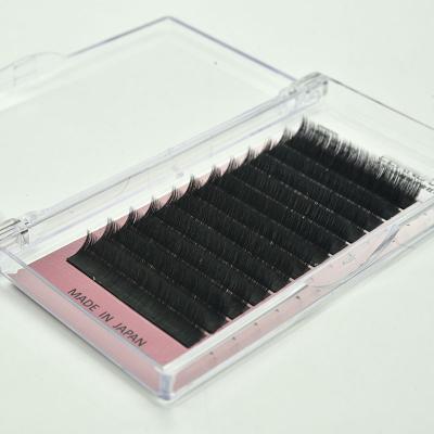 China Long Natural Easy Bloom Extension 0.03 Eyelash 0.05 0.07 Auto Fan Lashes for sale