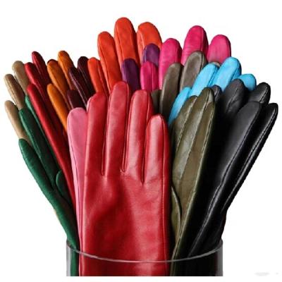 China Simple Fashion Women's Teal Wear Lambskin Leather Gloves In Europe for sale