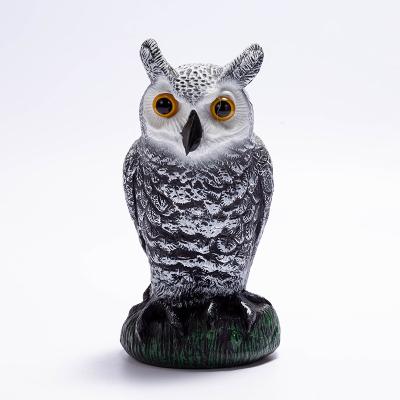 China Rural Outdoor Realistic Big Eared Little Owl Hunting Decoys With White Face for sale