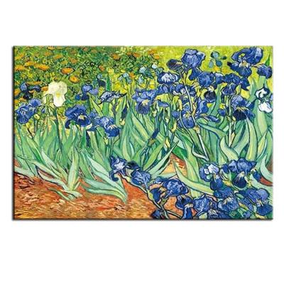 China 100% Hand Painted Modern Art Painting Van Gogh Irises World Classical Oil Painting Modern Home Decor for sale