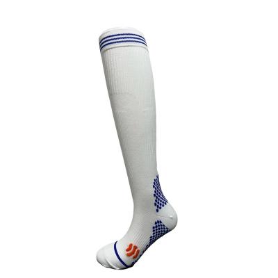 China Breathable Running Pressure Sports Running Socks Stretch Compression Socks for sale