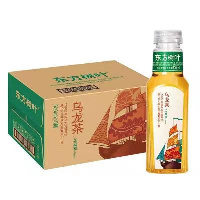 China Bulk Oolong Tea Powder Tea Drinks 500ml*15 Bottles / Cans Drinking Organic Oolong Tea for sale