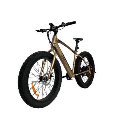 China Aluminum Alloy Factory OEM Fat Bike Dirt Mountain Bikes MTB Tires Electric Ebike 36V 48v 350w 500w for sale