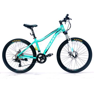 China Aluminum Alloy Bicycle Alloy Frame Adult Bike Customized Mountain Bicycle for sale