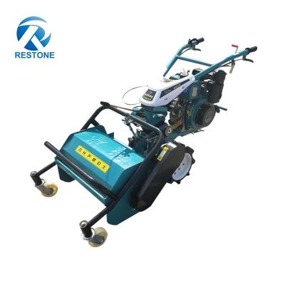 China Rears Power Tiller Hot Sale Mower Rotary Hay Mower for sale